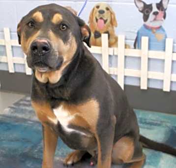Photo of King URGENT 1st ON EUTH LIST!