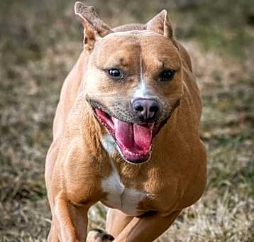 Photo of Faith