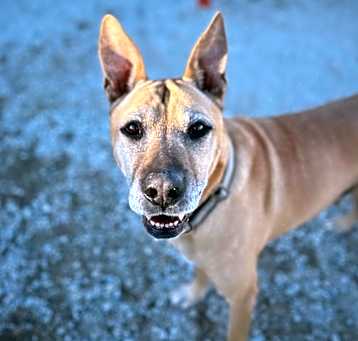 Photo of Kilo