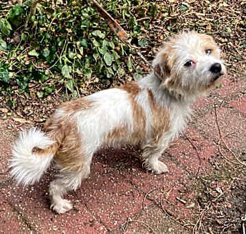 Photo of Fred