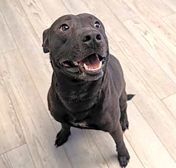 Photo of Cash
