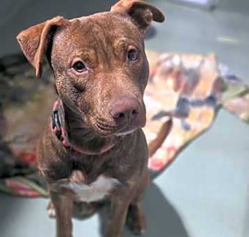 Photo of Buster