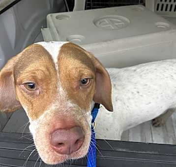 Photo of LEROY
