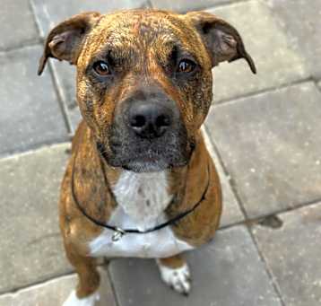 Photo of Jolene
