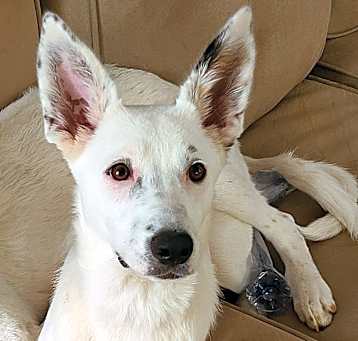 Photo of Sammie