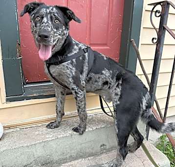 Photo of Echo