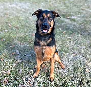 Photo of Payton