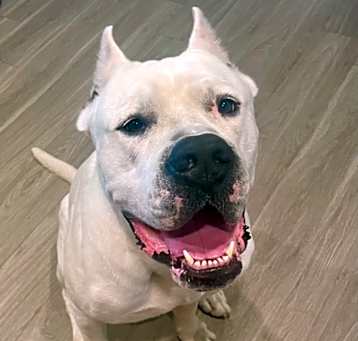 Photo of Zeus