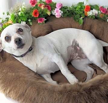 Photo of Chloe