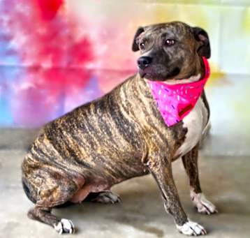 Photo of Maisy JH