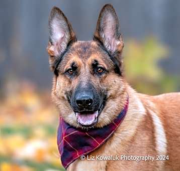Photo of Mia