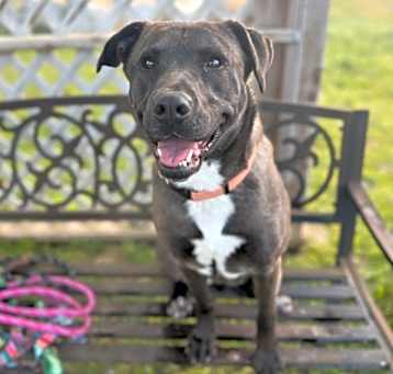 Photo of Belle