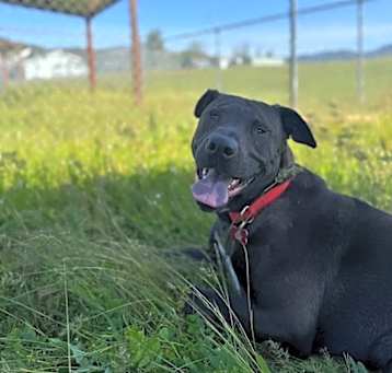Photo of Sam