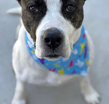 Photo of Lulu