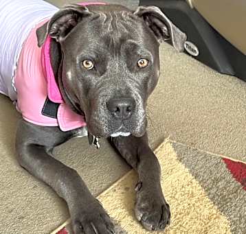 Photo of Athena