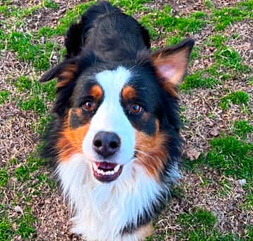 Photo of Remi