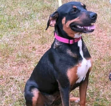 Photo of Layla Momma
