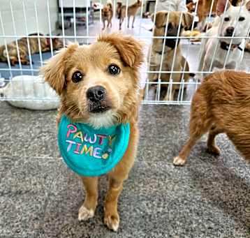 Photo of Winnie
