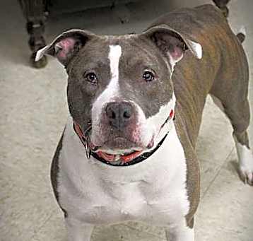 Photo of Valerie