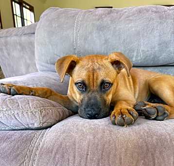 Photo of Brompton