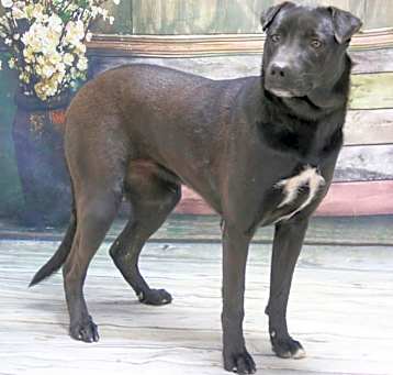Photo of Kramer