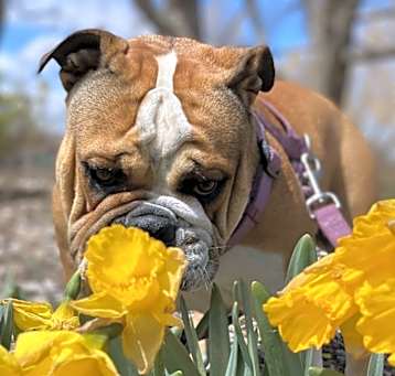 Photo of Ronka