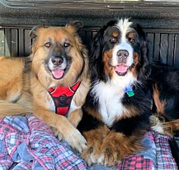 Photo of Seamus & Coco
