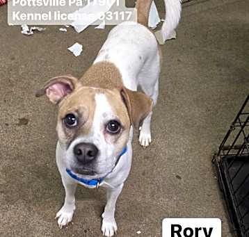 Photo of Rory