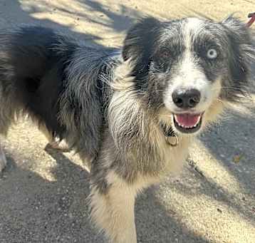 Photo of Vito