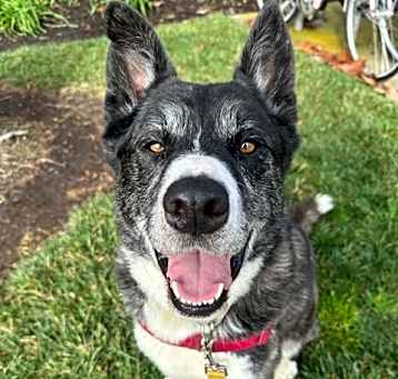 Photo of JELATO