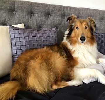 Photo of Annie
