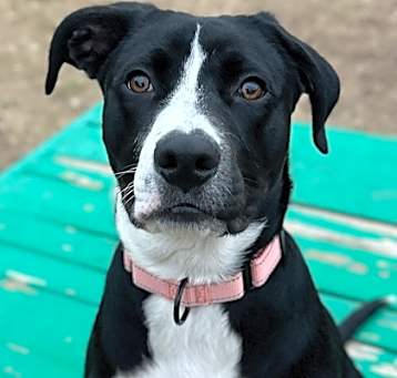 Photo of Parker