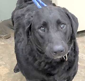 Photo of Bucky