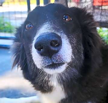 Photo of Berry