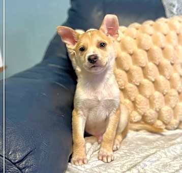 Photo of Duke