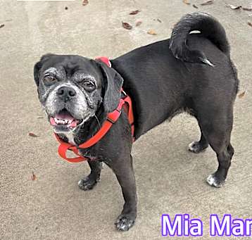 Photo of Mia Mari
