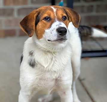 Photo of Twyla
