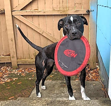 Photo of Sophie