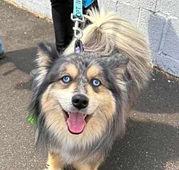 Photo of Rocky
