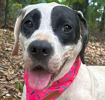 Photo of Bobbi