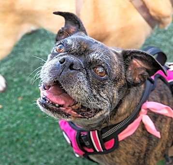 Photo of Leia *bonded to Rush* / Rush *bonded to Leia*