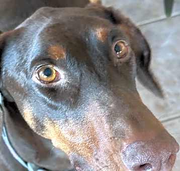 Photo of Kiara