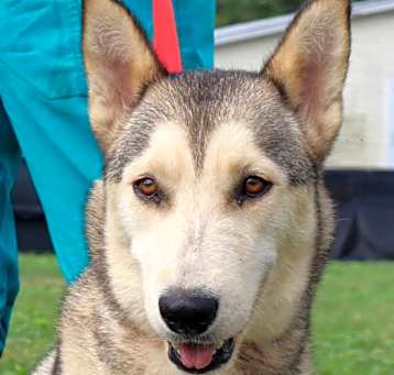 Photo of Simi JuM