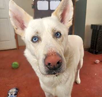 Photo of Benni