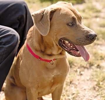 Photo of Mellow