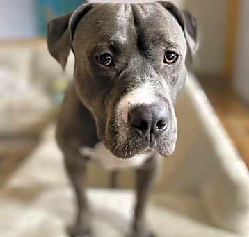 Photo of Tank