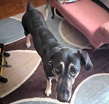 Photo of Daisy Mae