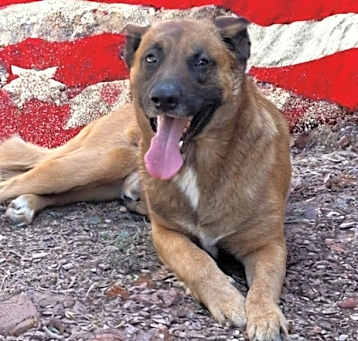 Photo of Duncan