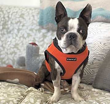 Photo of Kiki