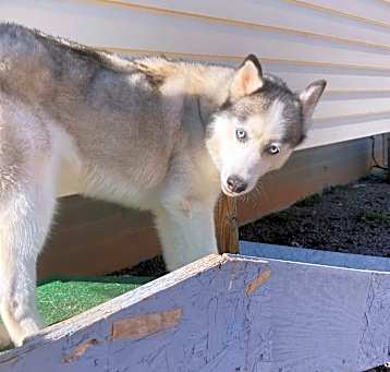 Photo of Ghost